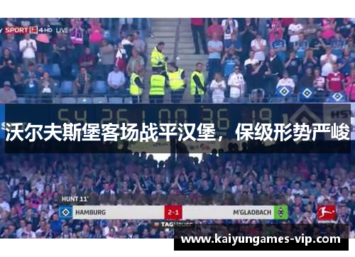 沃尔夫斯堡客场战平汉堡，保级形势严峻